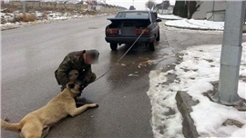 Batıkent'te köpeğe sürüklemeli işkence